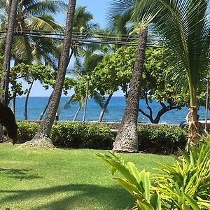 Vacation Condos In Kona